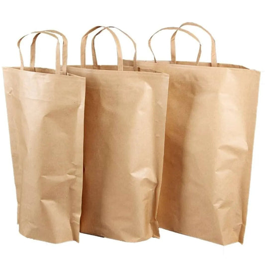 Kraft "Espérance" 2-bottle paper bag, brown