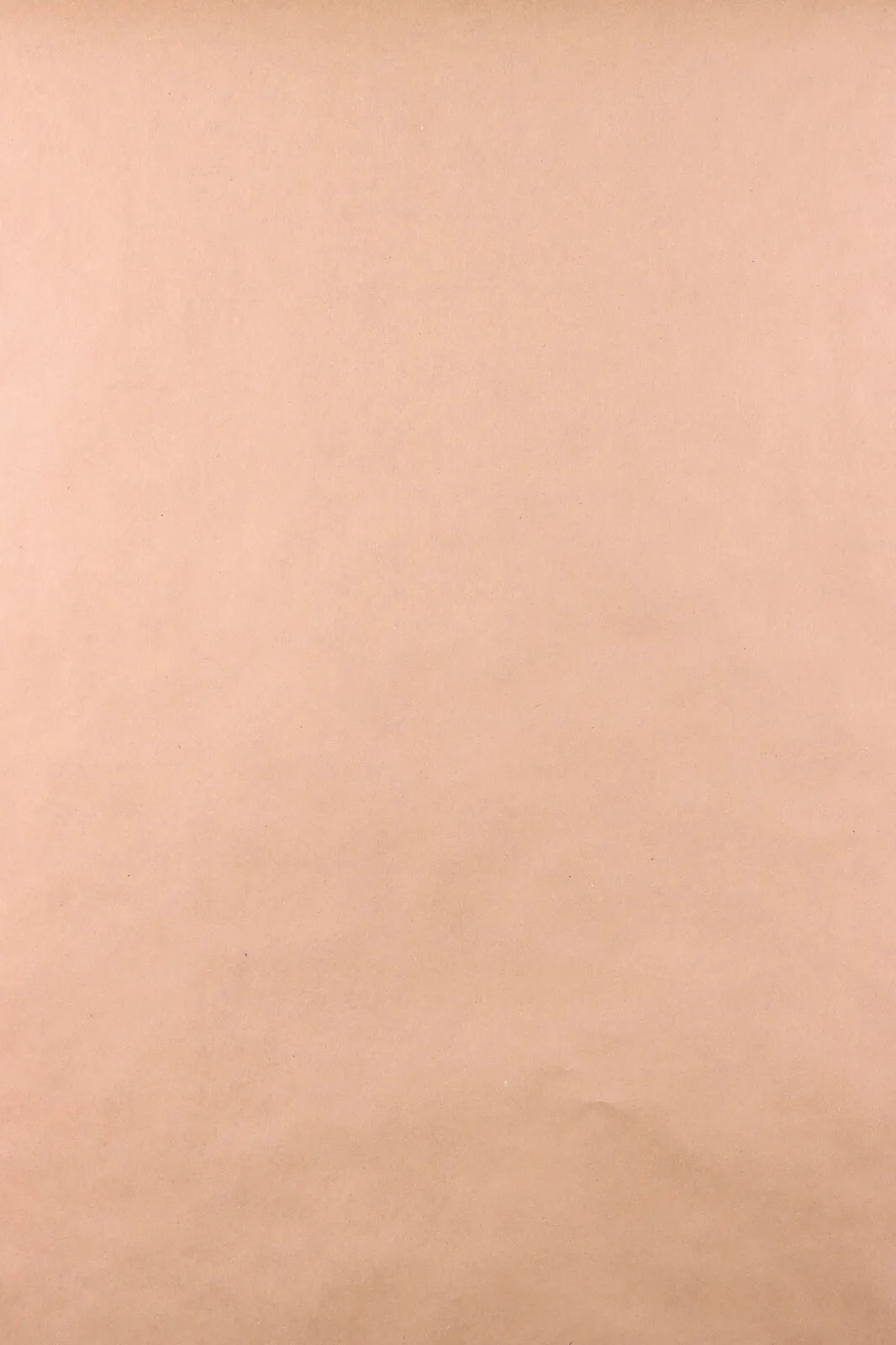 Papier cadeau Mistelle kraft recyclé brun 0.50x200m