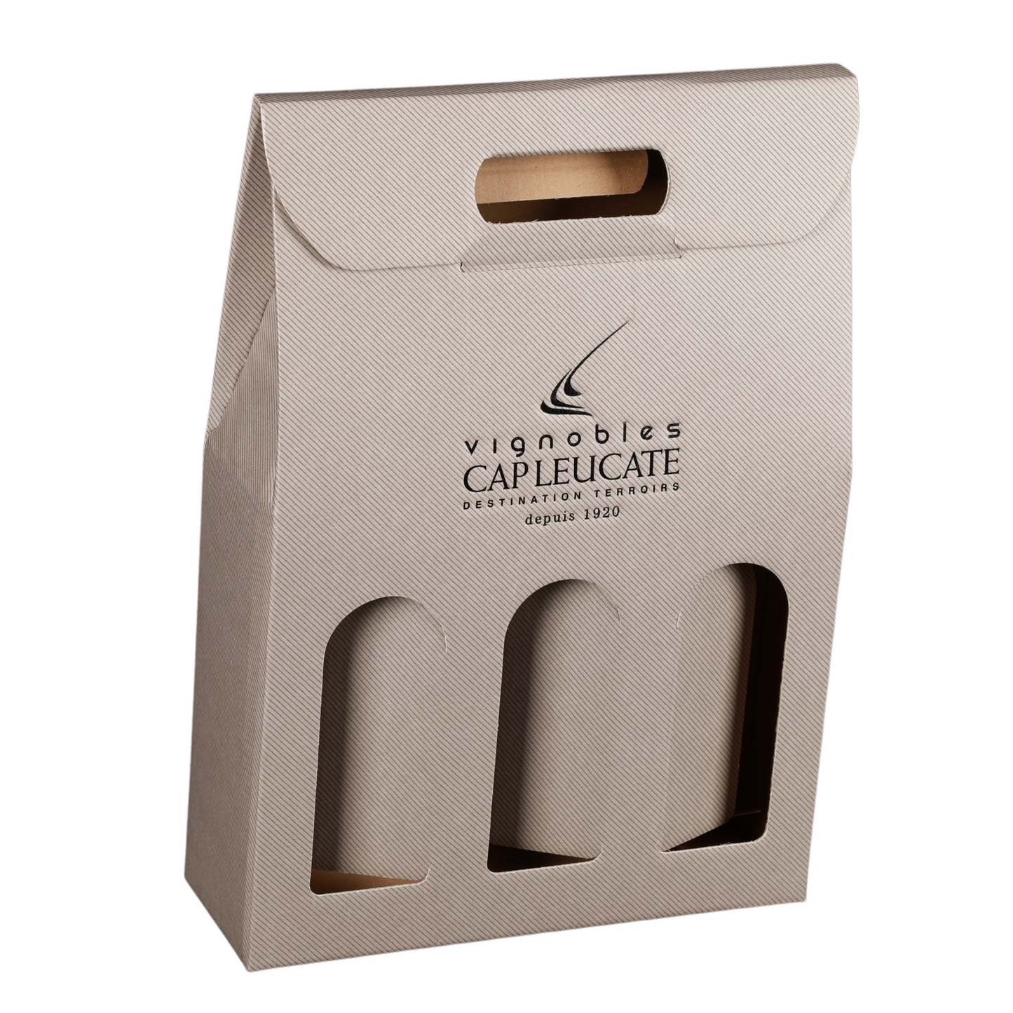 Valisette carton Milan-New York-Riga-Avana 3 btls 27x9x38,5cm personnalisée