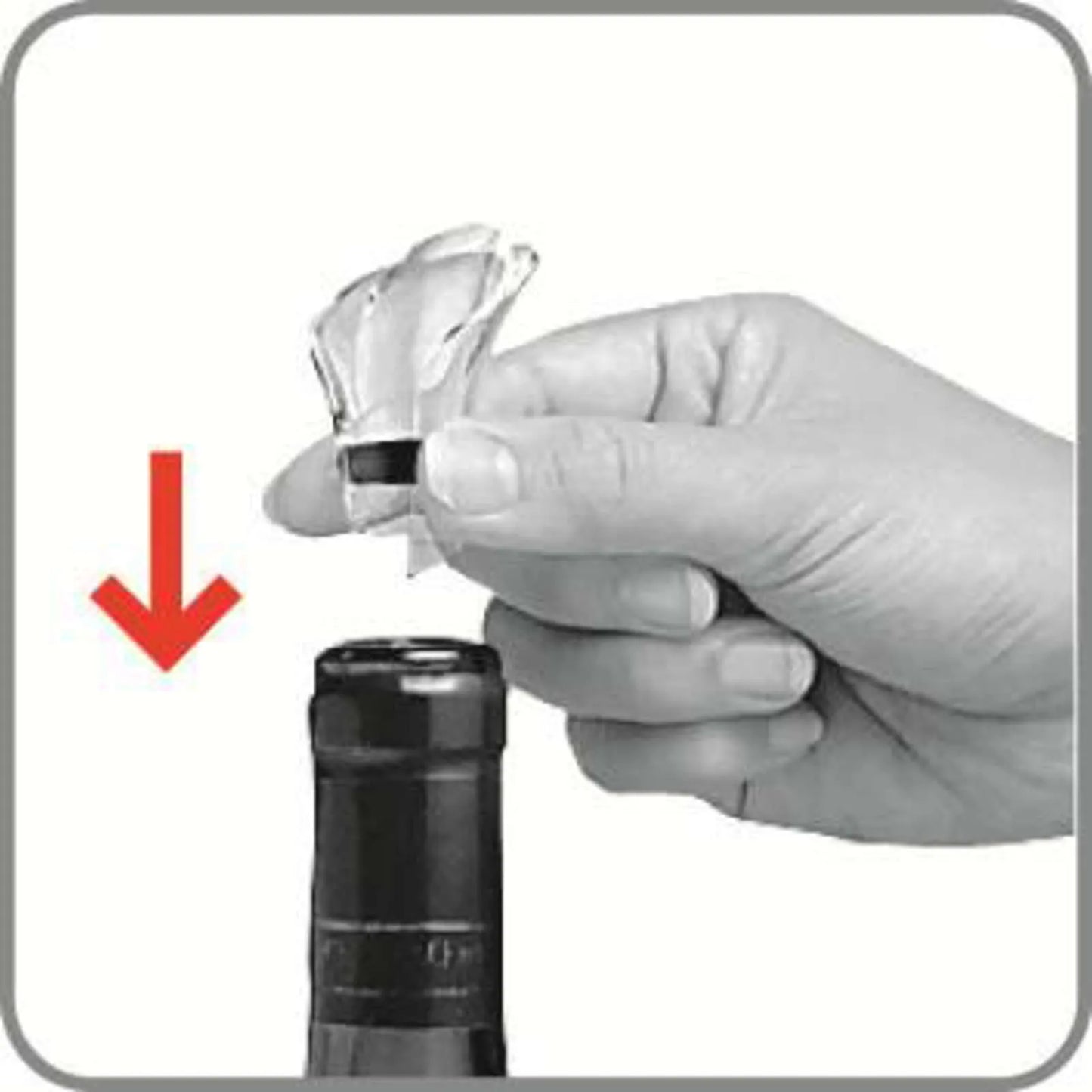Bec verseur anti-goutte Wine Server Cristal noir Vacuvin (2 pièces)