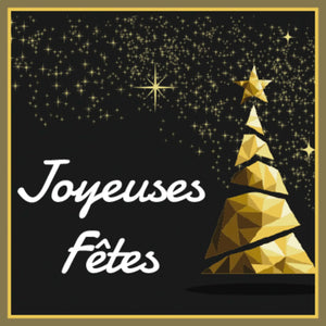 Etiquette adhésive carrée noir/or - Joyeuses Fêtes (boîte de 500)