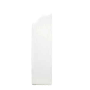Ruban bolduc PPL mat blanc 19mmx50m (spéciale imprimante)