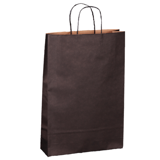 Esprit Eco Black Kraft Paper 3-Bottle Bag