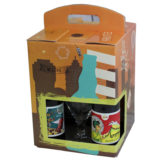 San Francisco Urban cardboard suitcase containing 9 beers (33cl)