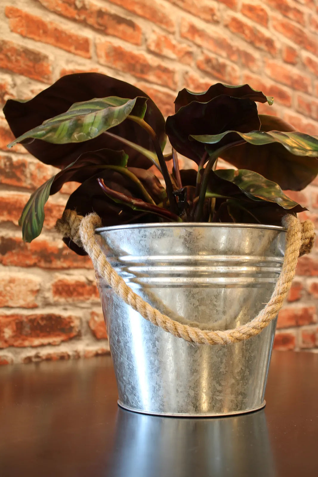 Fredo metal bucket with rope handle Ø20/14x16cm