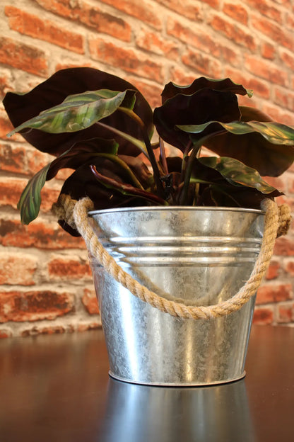 Fredo metal bucket with rope handle Ø20/14x16cm