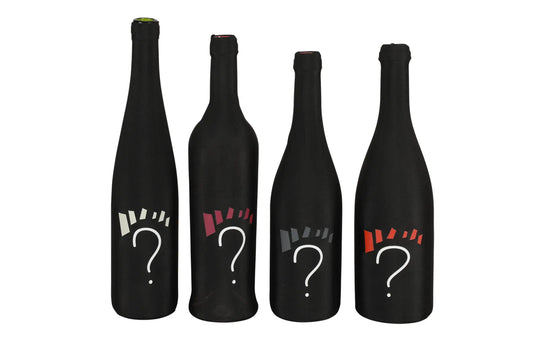 Pénélope Tasting Sock assorted striped lycra canvas (4 pieces)