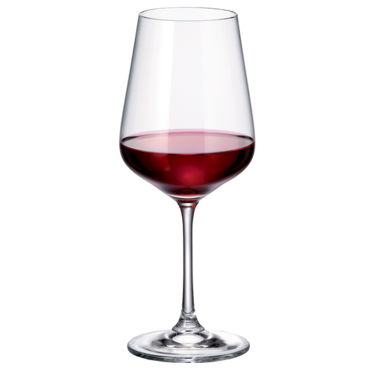Verre de dégustation Perito 45cl