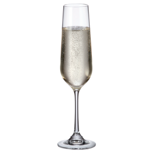 Verre de dégustation  20cl flute - Perito