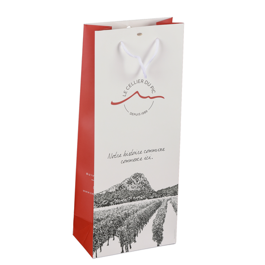 Sac papier luxe 2 bouteilles 18x8.7x39cm personnalisé