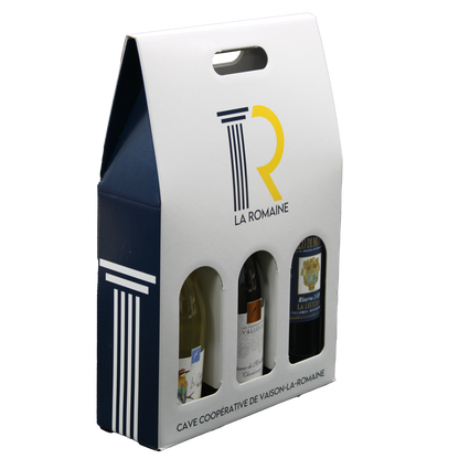 Valisette carton offset 3 btls 27x9x41cm personnalisée