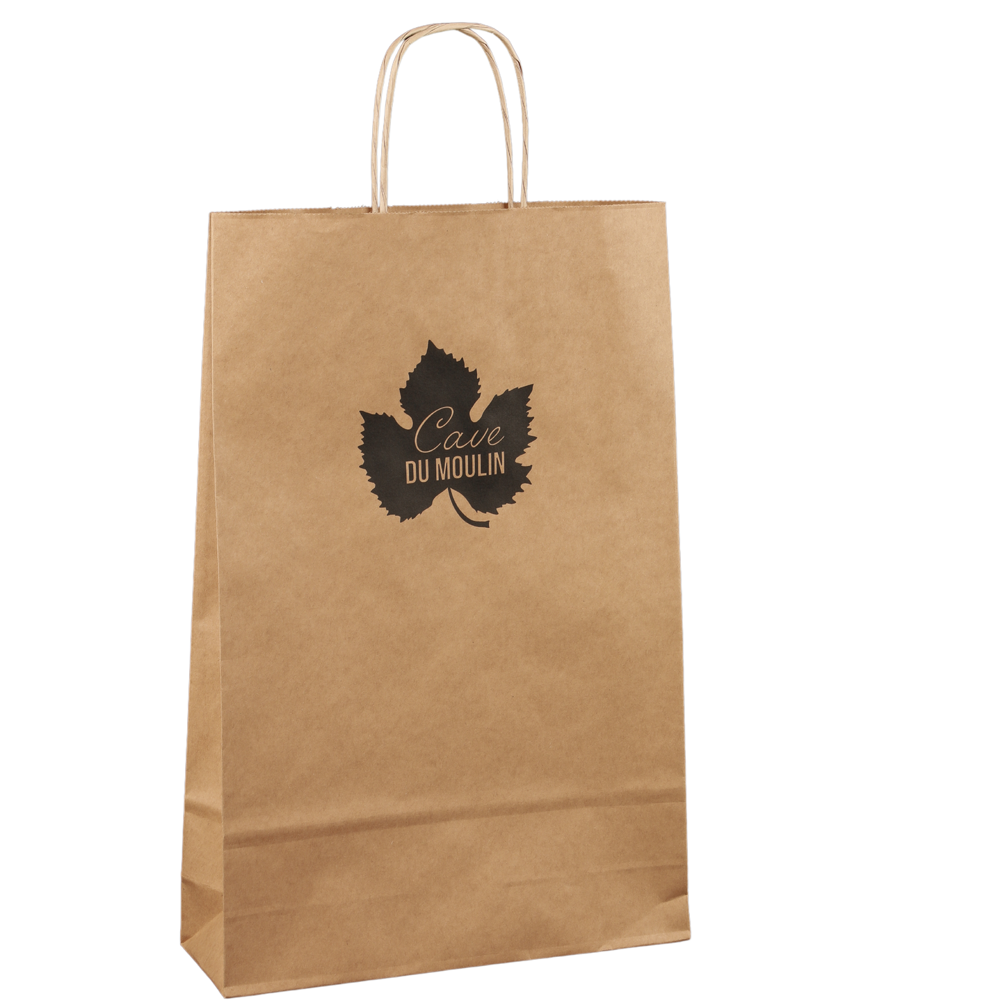 Esprit Eco paper bag with twisted handles, 2 bottles, 18x8x39cm, personalized