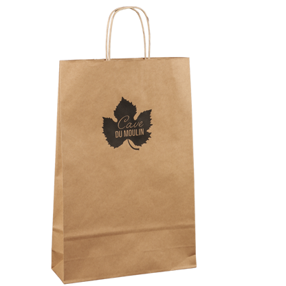 Esprit Eco paper bag with twisted handles, 2 bottles, 18x8x39cm, personalized
